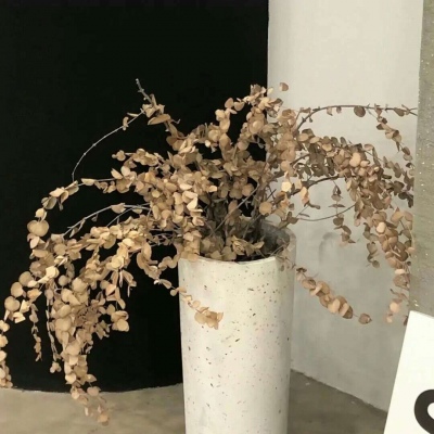 澧县FurryQQ群介绍